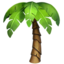 palm tree