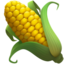 ear of corn