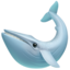 whale