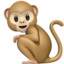 monkey