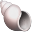 spiral shell