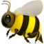 honeybee