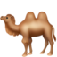 two-hump camel