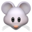 mouse face