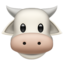 cow face