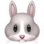 rabbit face