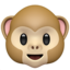 monkey face