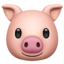 pig face