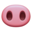 pig nose