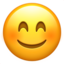 smiling face with smiling eyes