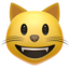 grinning cat