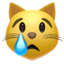 crying cat