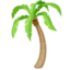 palm tree