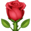 rose