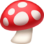 mushroom