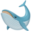 whale