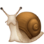 snail