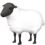 ewe