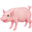 pig