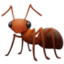 ant