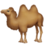 two-hump camel