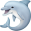 dolphin