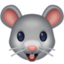 mouse face