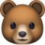 bear