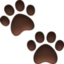 paw prints