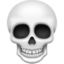 skull