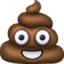 pile of poo