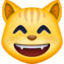 grinning cat with smiling eyes