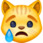 crying cat