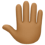 raised back of hand: medium-dark skin tone