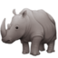 rhinoceros