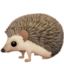 hedgehog