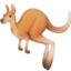 kangaroo