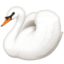 swan