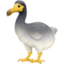 dodo