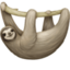 sloth