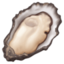 oyster