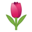 tulip