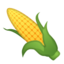 ear of corn