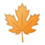 maple leaf