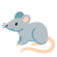 rat