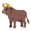 ox