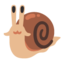 snail