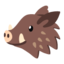 boar