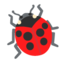 lady beetle