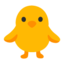 front-facing baby chick